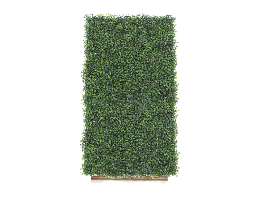 Boxwood Hedge Walls