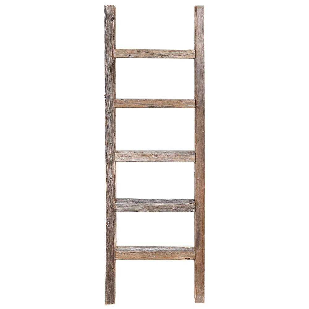 Lenny Ladder