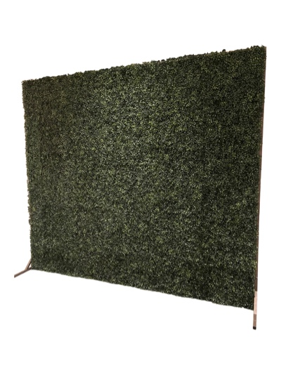 Infinity Boxwood Hedge Wall