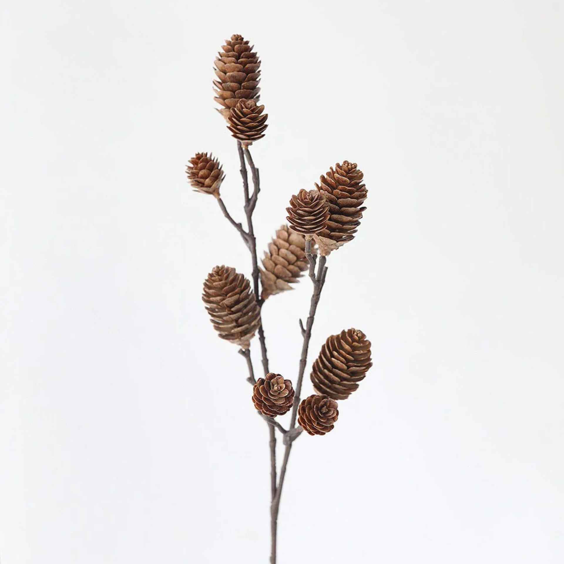 Pine Cone Pick