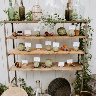 Large Vintage Jug Collection