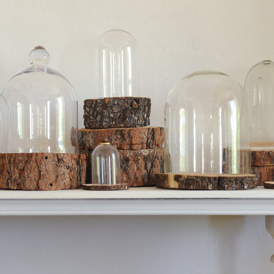 Glass Cloche