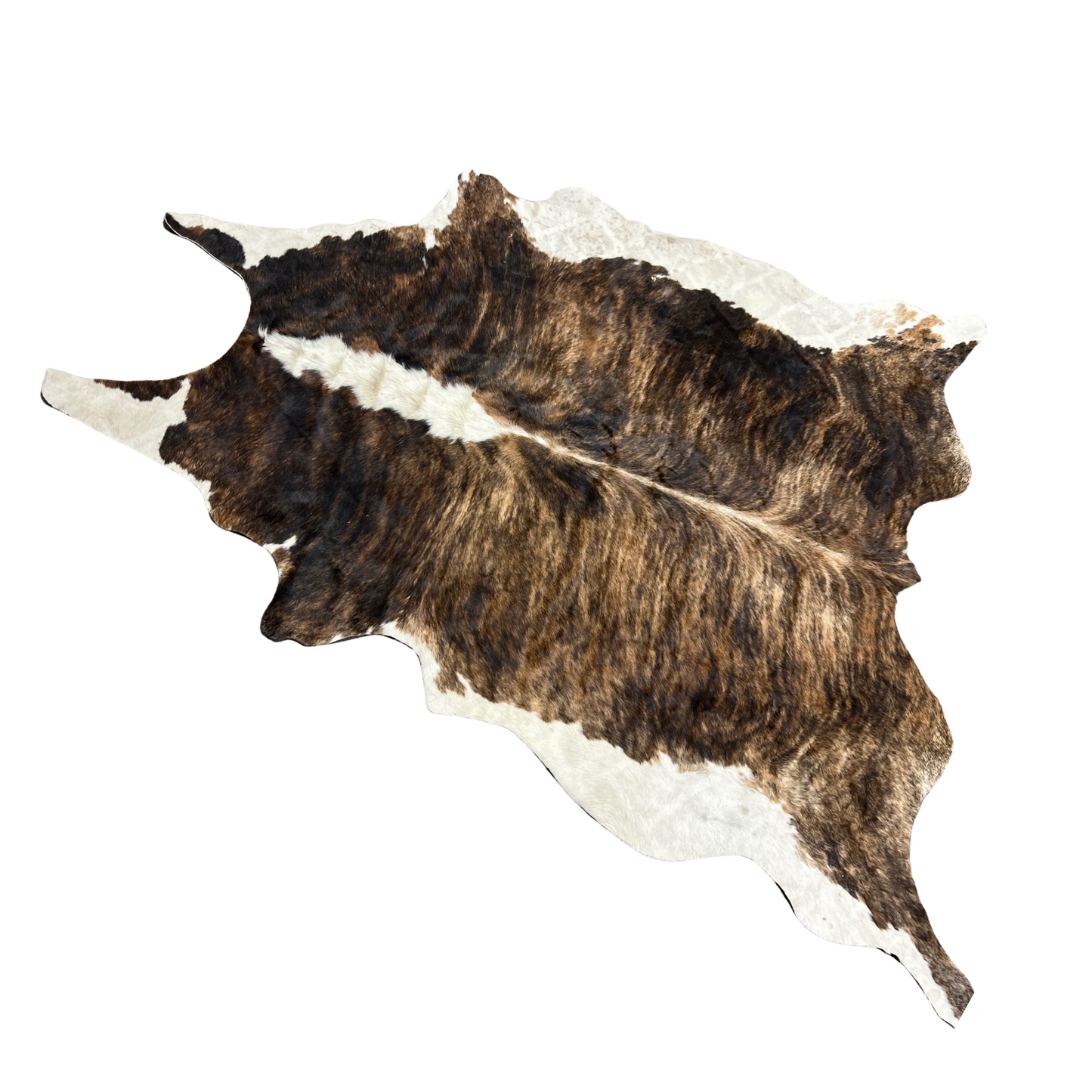 Duke: Dark Brindle Brazilian Cowhide XXL