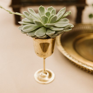 Vintage Brass Cup Collection