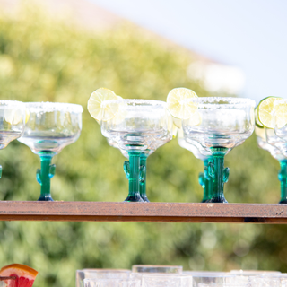 Cactus Margarita Glass