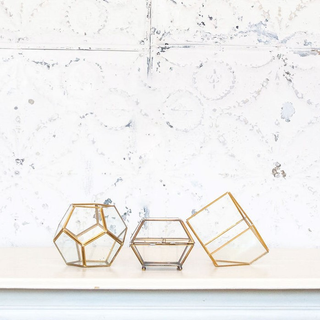 Brass Terrarium Collection