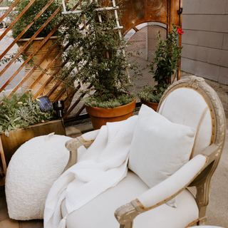 The Philippe Arm Chair