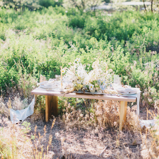 Live Edge Wood Coffee Table
