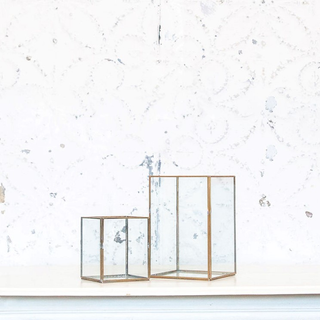 Brass Terrarium Collection