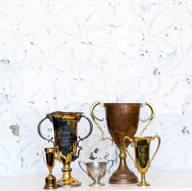 Loving Cup Trophy Collection