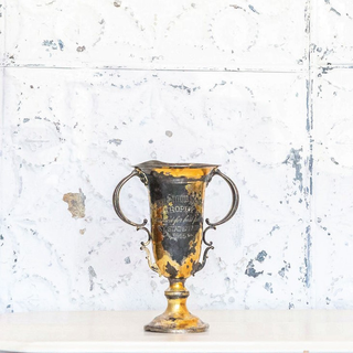 Loving Cup Trophy Collection