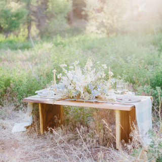 Live Edge Wood Coffee Table
