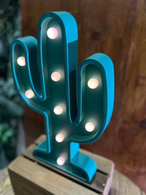 Small Marquee Cactus