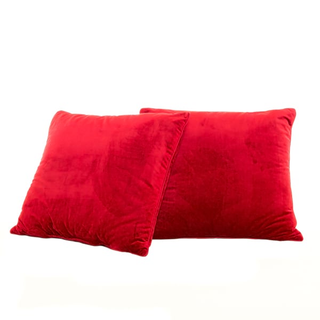 Red Velvet Pillow