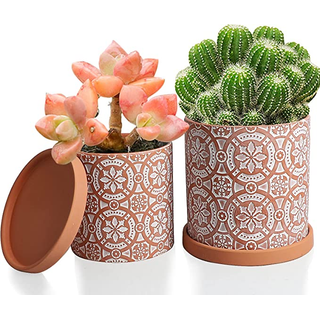Terracotta Planter Pot