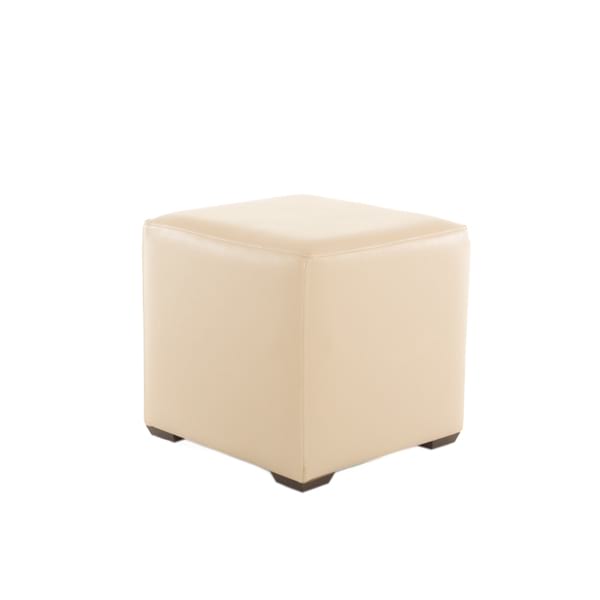 Natural Leather Cube