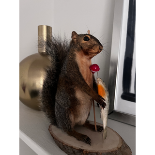 Squirrel & Chipmunk Buddies