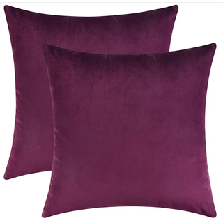 Plum Velvet Pillow