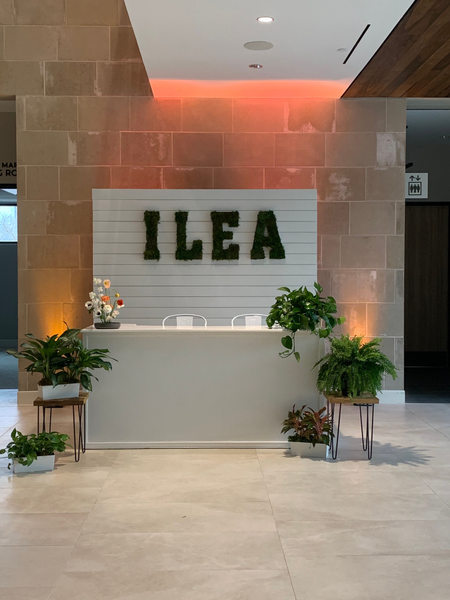 Customizable Wooden Wall Structure