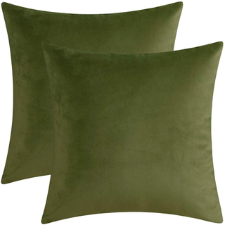 Green Sage Pillow