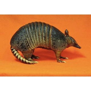 Fast Eddy Armadillo