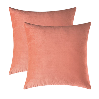 Coral Velvet Throw Pillow