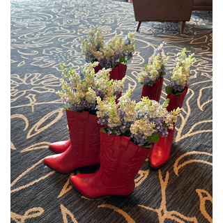 Red Boots with Bluebonnets