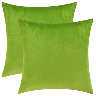 Chartruse Velvet Pillow