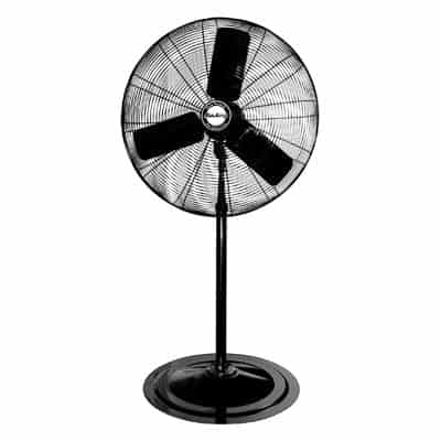 Pedestal Fan