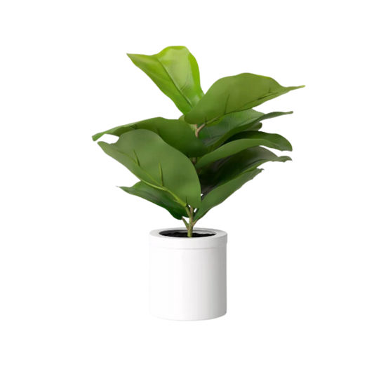 Plant, Faux Fiddle Leaf Fig - Small
