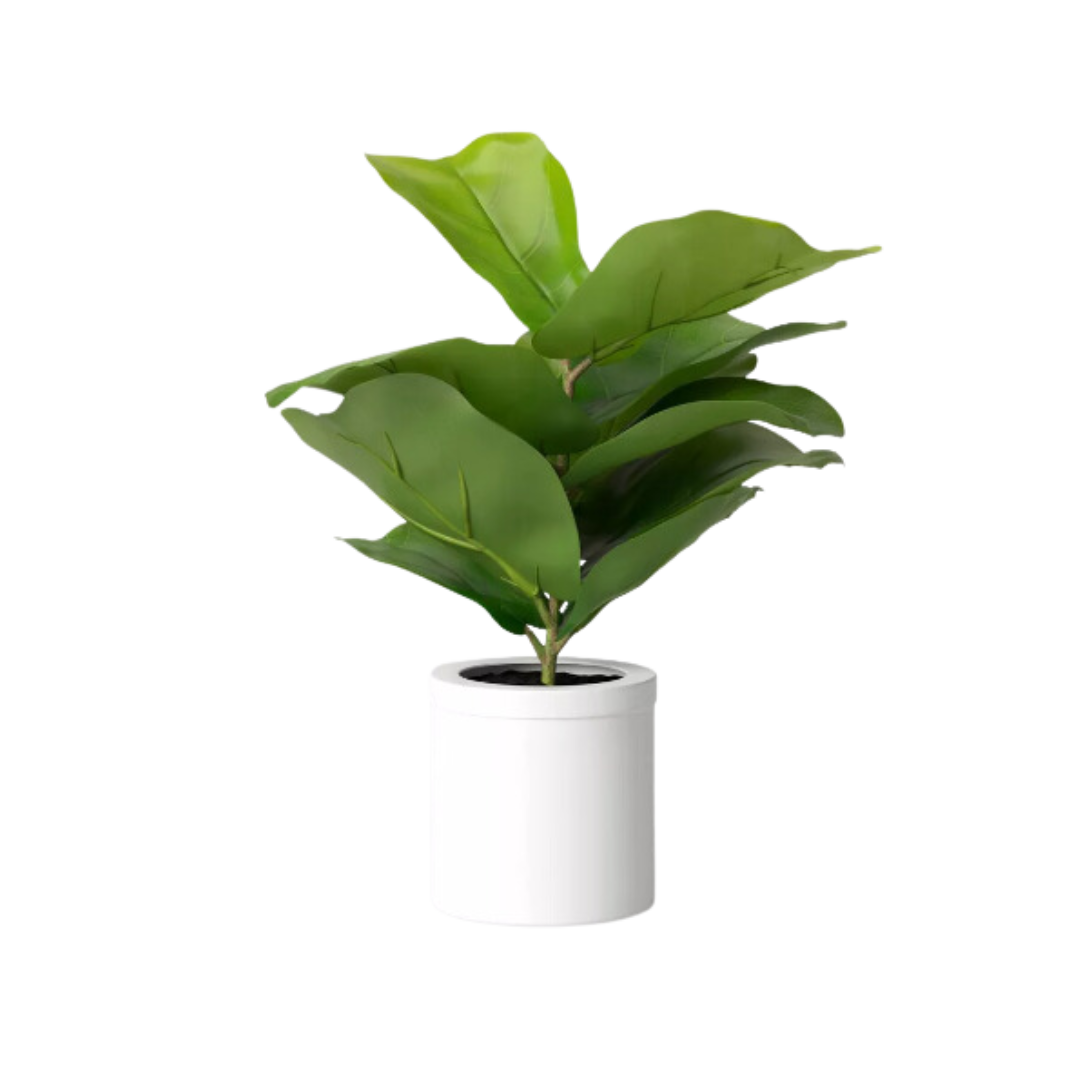 Plant, Faux Fiddle Leaf Fig - Small
