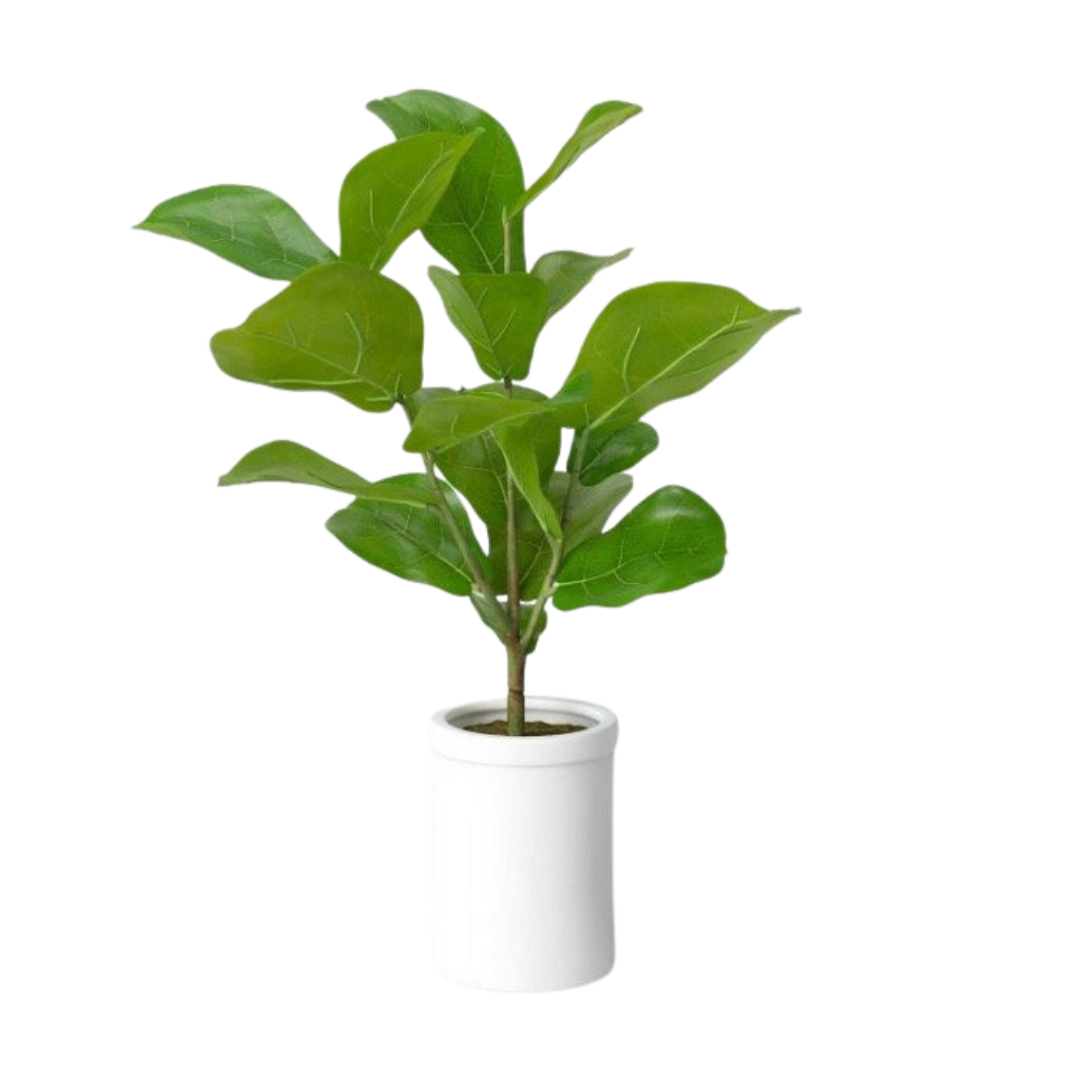 Plant, Faux Fiddle Leaf Fig - Large