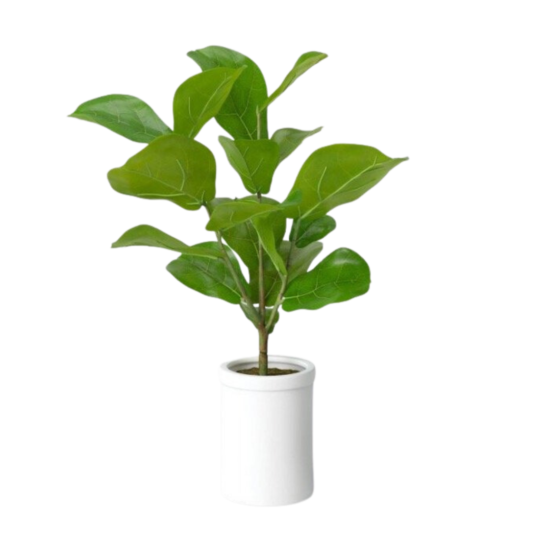 Plant, Faux Fiddle Leaf Fig - Large