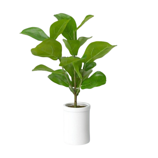 Plant, Faux Fiddle Leaf Fig - Large