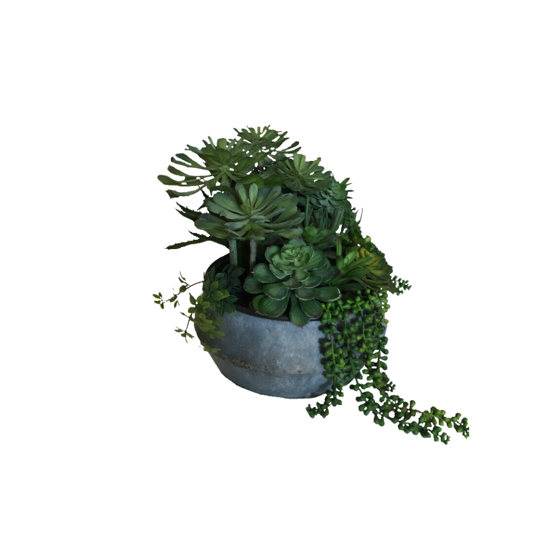 Plant, Succulent Mix in Tin Pot
