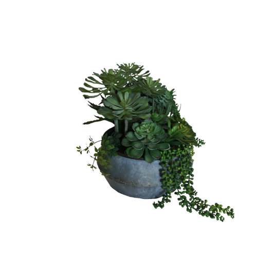 Plant, Succulent Mix in Tin Pot