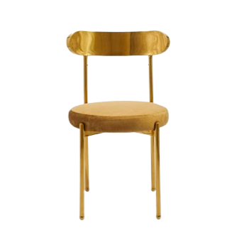 Ezra Gold Chair - Champagne