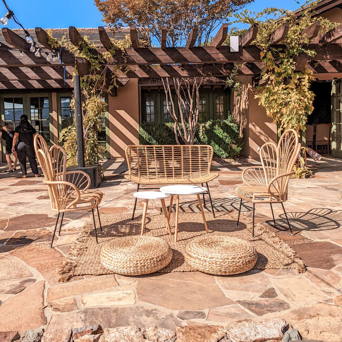 Peacock Rattan Chair