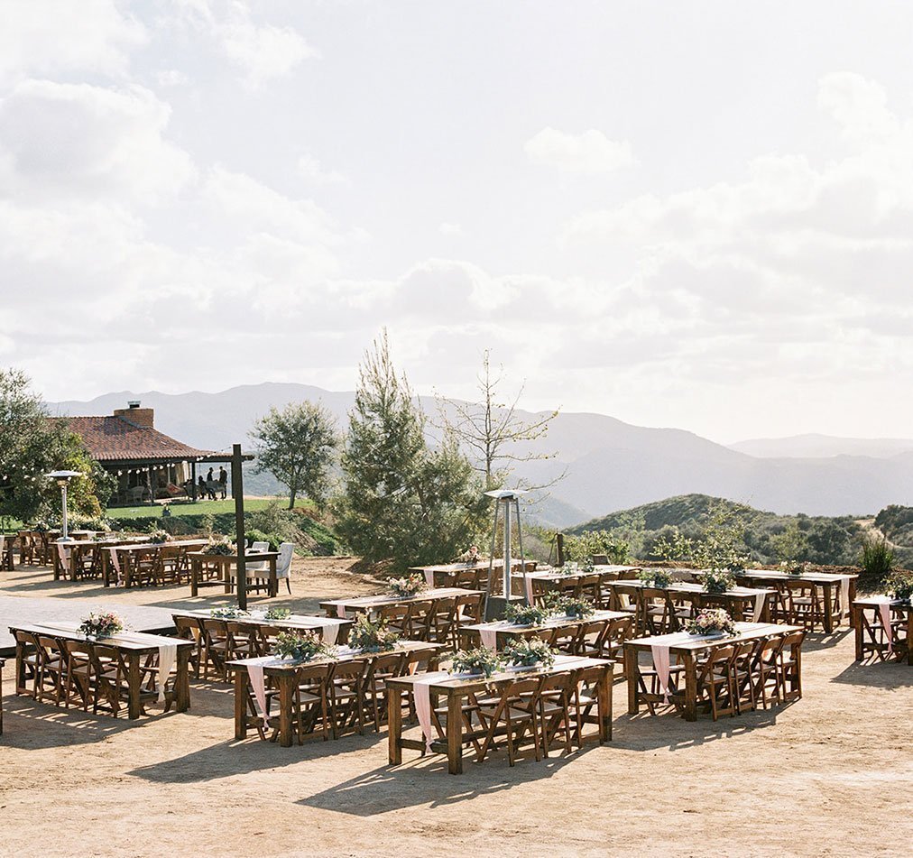 Fruitwood Folding Chair