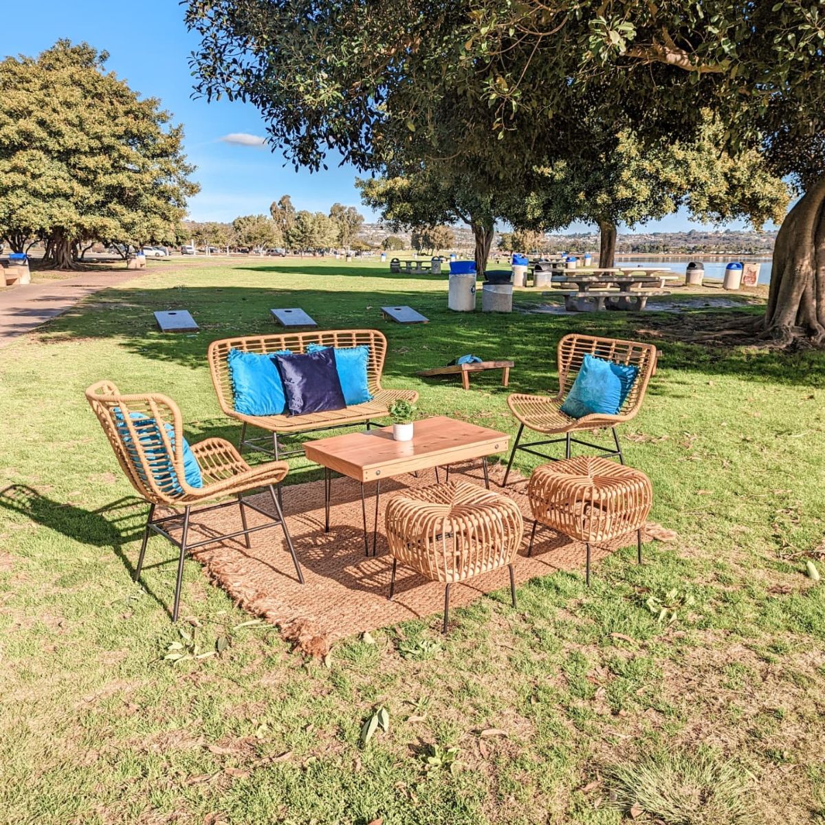 Ocean Pillow Collection