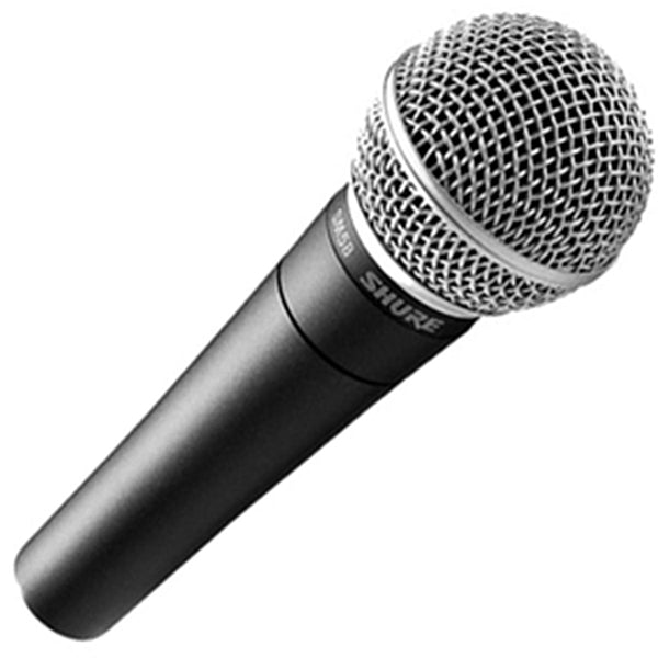 Microphone (Wired)
