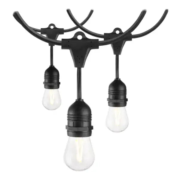 Edison String Lights (50 ft – Warm White)