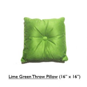 Lime Green Throw Pillow