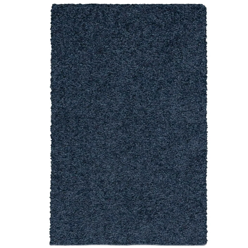 Blue Shag Rug
